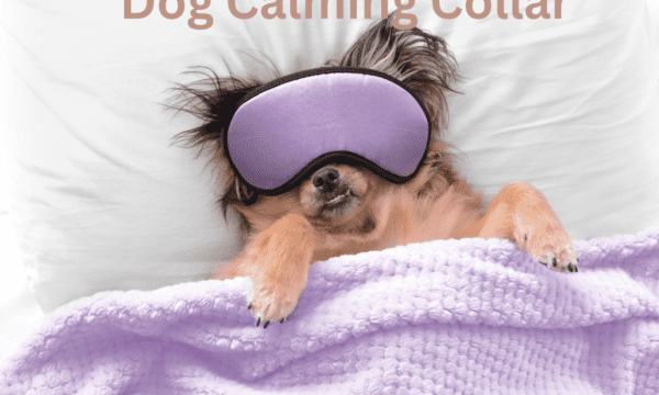 Dog Calming Collar