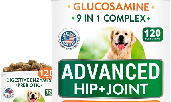Glucosamine Treats + Probiotics Chews