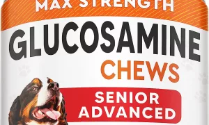 Senior Advanced Glucosamine Joint Supplement